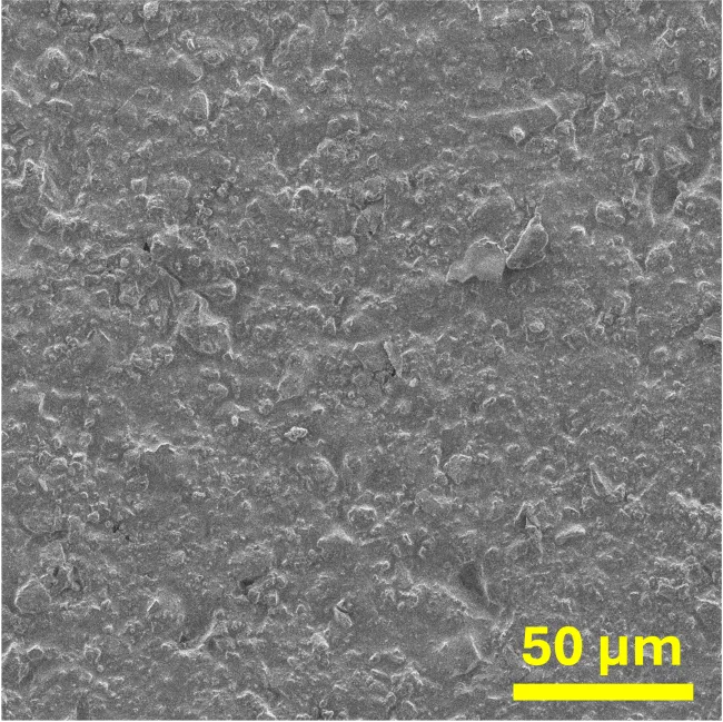 MASC-1 SEM image 50 um