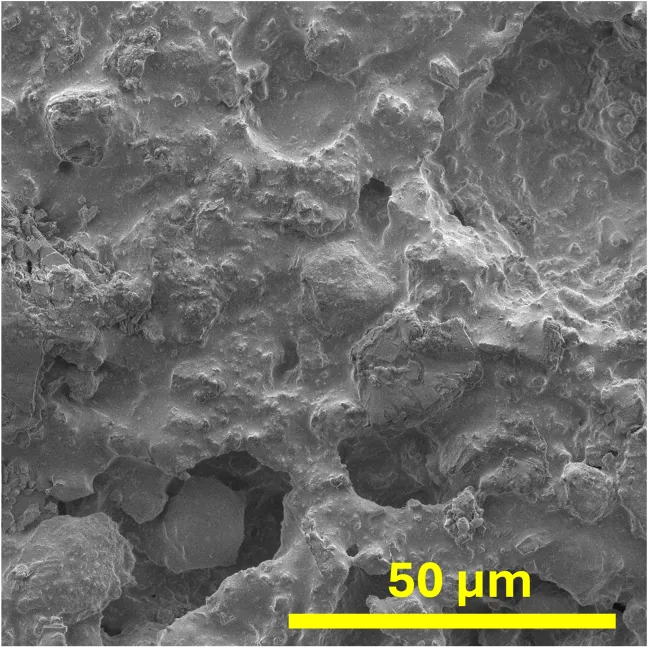 MASC-2 SEM image 50 um