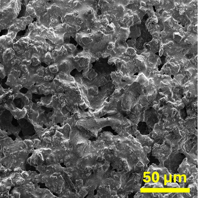 MASC-3 SEM image 50 um