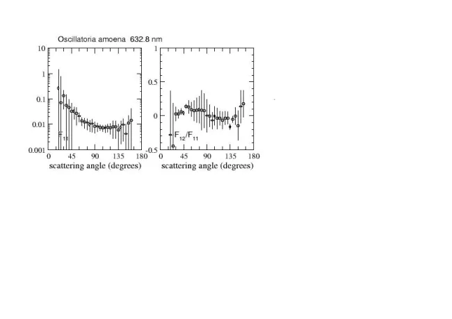 Scattering matrix elements Oscillatoria Amoena Scattering matrix elements Oscillatoria Amoena