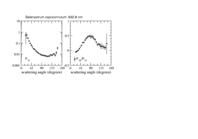 Scattering matrix elements Selenastrum Capricornutum 