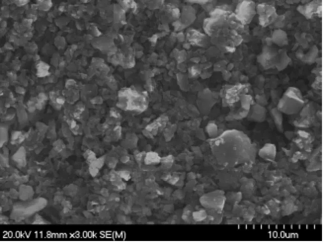 MGS-1 S SEM Images