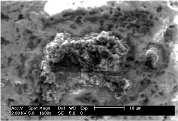 Aggregate (fluffy) Sample 3 SEM Image