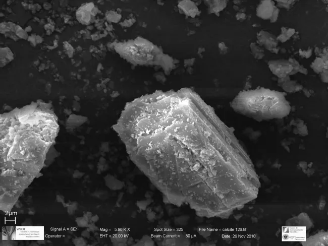 Calcite SEM image 2