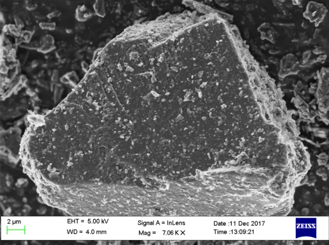 Enstatite SEM Image 1