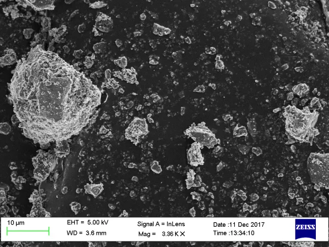 FRO95002M SEM Image