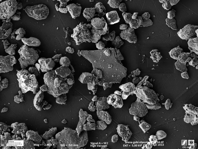 Gobi Desert Dust SEM Image