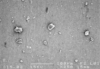 Loess SEM Image 1