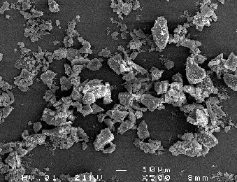 Olivine S SEM Image