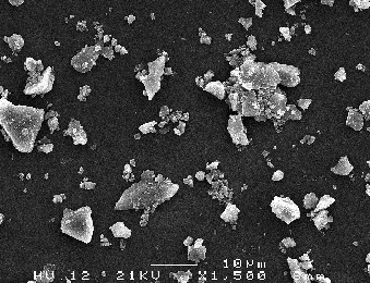 Olivine XL SEM Image Olivine XL SEM Image