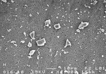 Pinatubo SEM Image 1