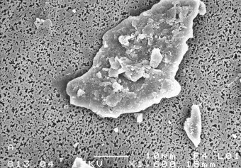 Quartz SEM Image 1