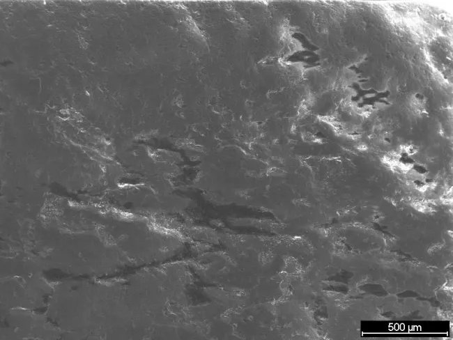 Quartzite SEM Image 