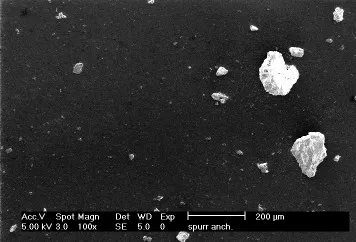 Spurr (Anchorage) SEM Image 1