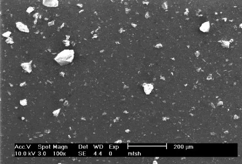 Mount St. Helens SEM Image 2