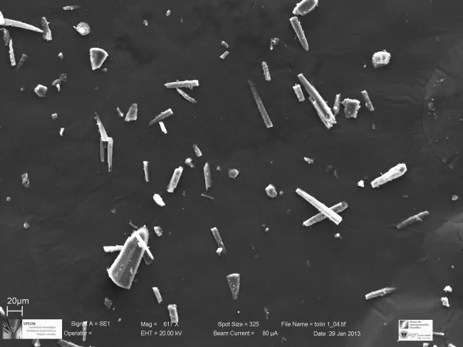 Tholins SEM Image 1