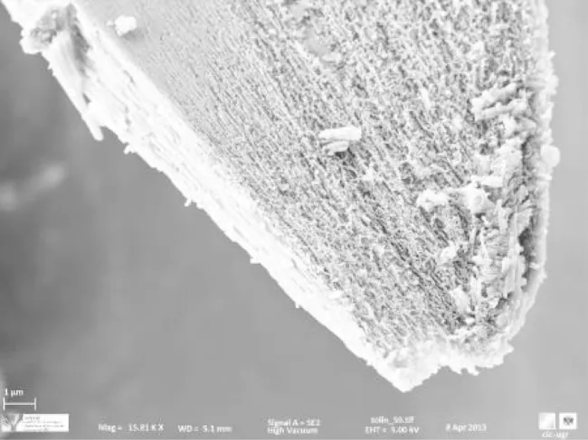 Tholins SEM Image 1