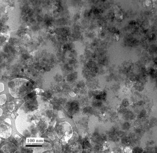 Aggregate (fluffy) Sample 3 TEM Image