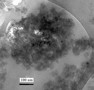  Aggregates (fluffy) Sample 4 TEM Imge 1