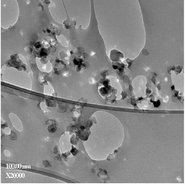  Aggregates (fluffy) Sample 7 TEM Image